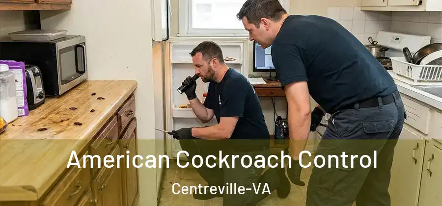  American Cockroach Control Centreville-VA
