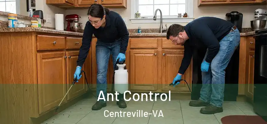  Ant Control Centreville-VA