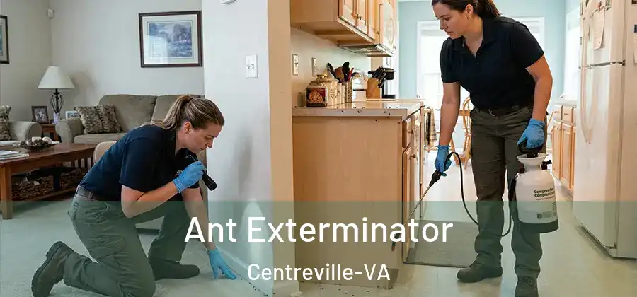  Ant Exterminator Centreville-VA