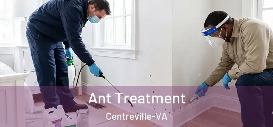  Ant Treatment Centreville-VA