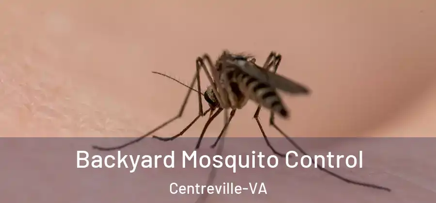  Backyard Mosquito Control Centreville-VA