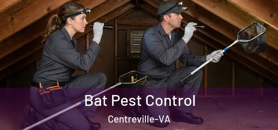  Bat Pest Control Centreville-VA