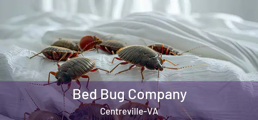 Bed Bug Company Centreville-VA
