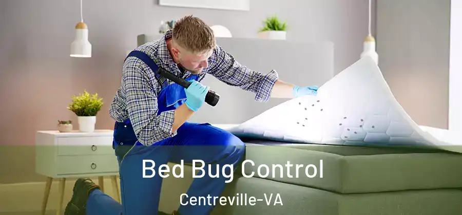 Bed Bug Control Centreville-VA