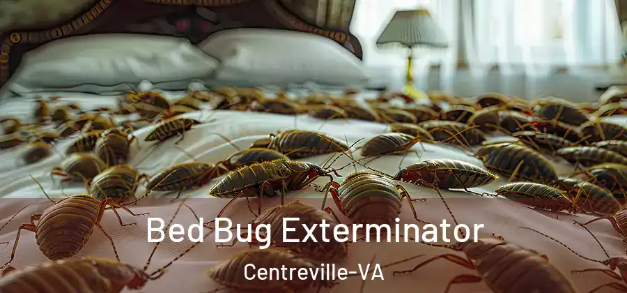  Bed Bug Exterminator Centreville-VA