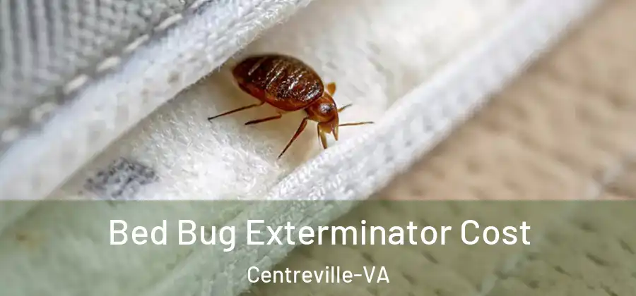  Bed Bug Exterminator Cost Centreville-VA