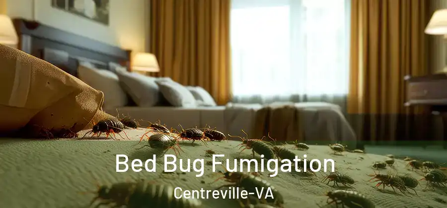  Bed Bug Fumigation Centreville-VA