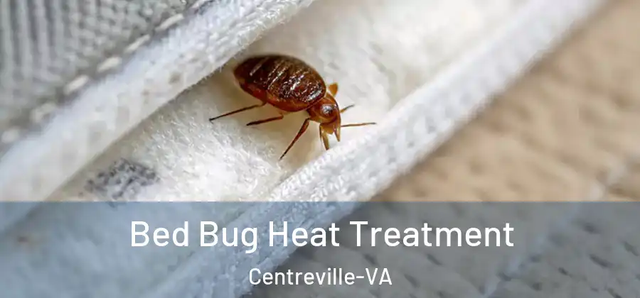  Bed Bug Heat Treatment Centreville-VA