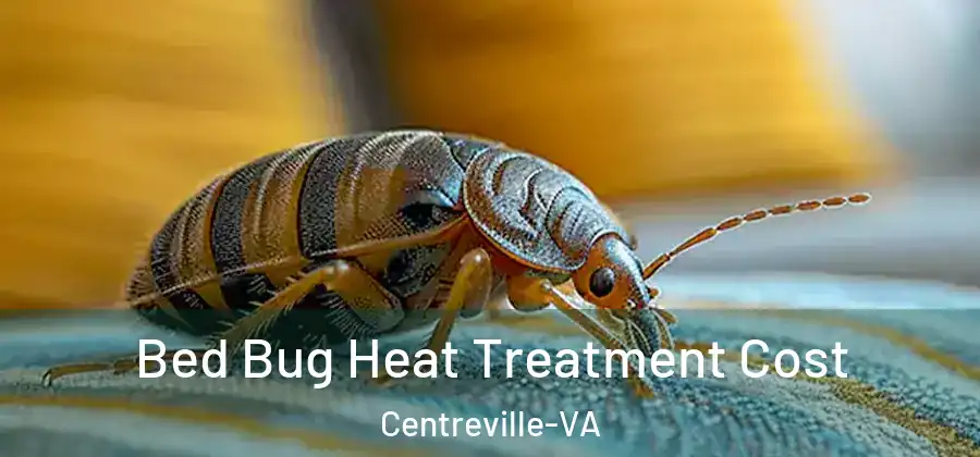  Bed Bug Heat Treatment Cost Centreville-VA