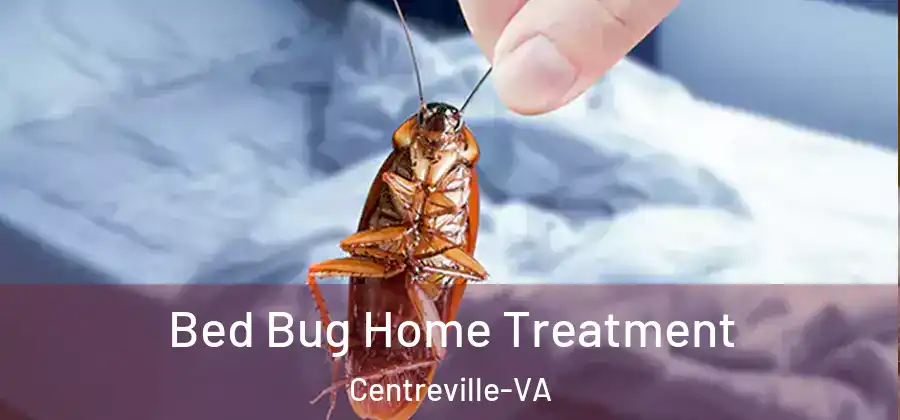  Bed Bug Home Treatment Centreville-VA