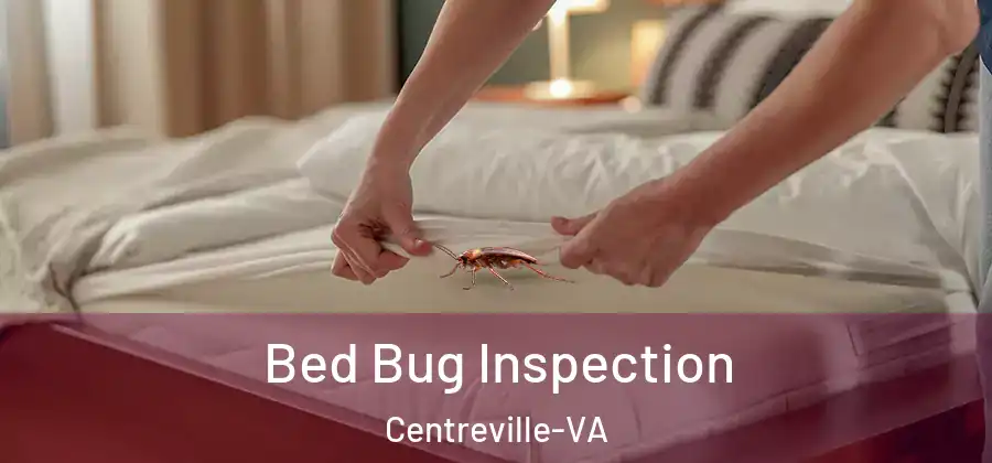  Bed Bug Inspection Centreville-VA