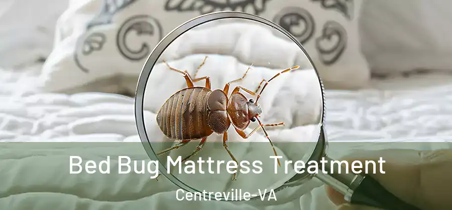 Bed Bug Mattress Treatment Centreville-VA