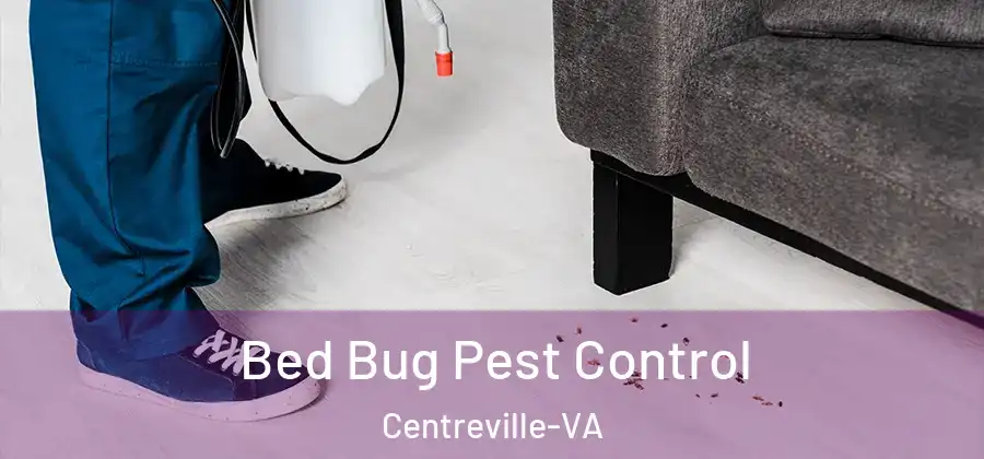  Bed Bug Pest Control Centreville-VA
