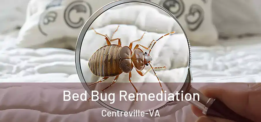  Bed Bug Remediation Centreville-VA
