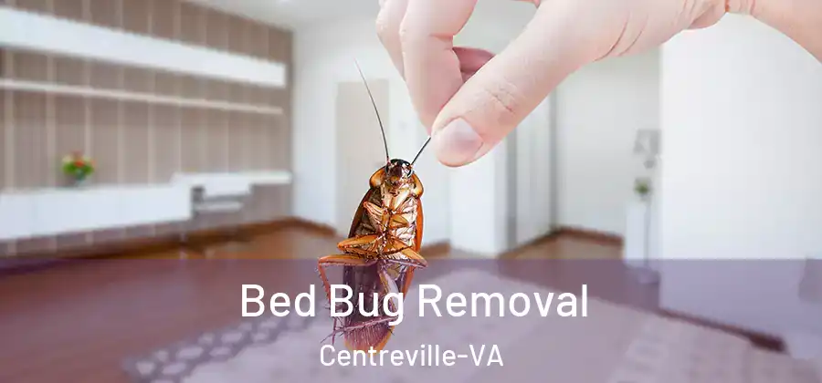  Bed Bug Removal Centreville-VA