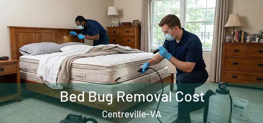  Bed Bug Removal Cost Centreville-VA