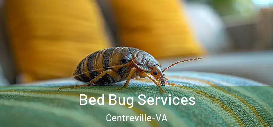 Bed Bug Services Centreville-VA