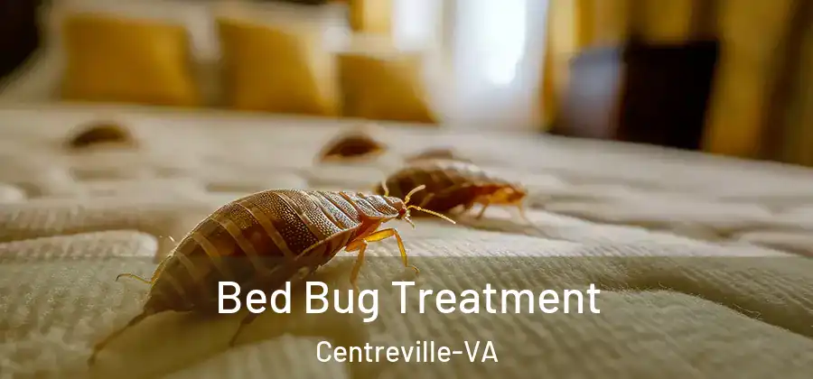  Bed Bug Treatment Centreville-VA