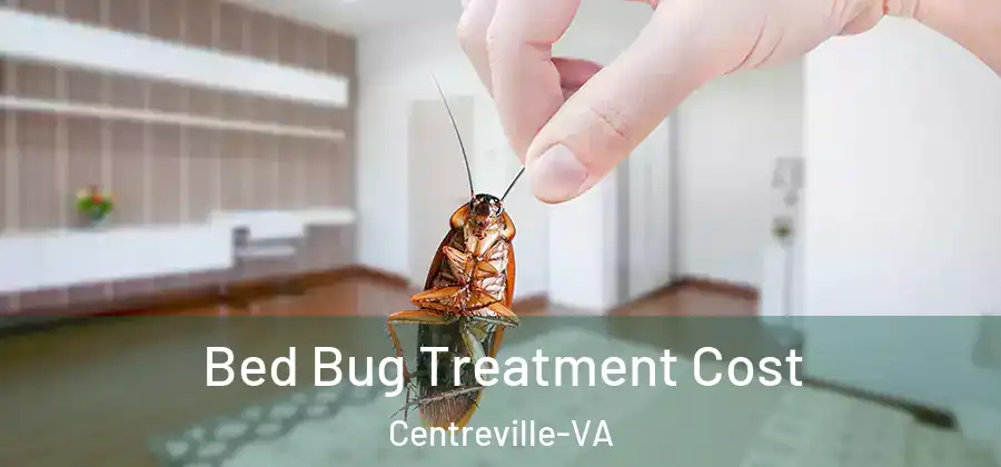  Bed Bug Treatment Cost Centreville-VA