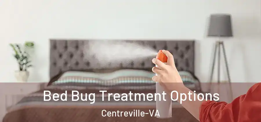  Bed Bug Treatment Options Centreville-VA