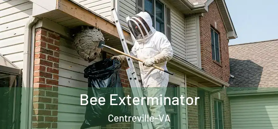  Bee Exterminator Centreville-VA