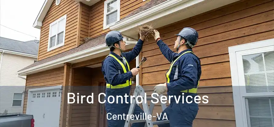  Bird Control Services Centreville-VA