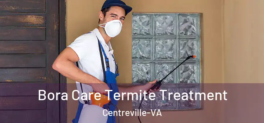Bora Care Termite Treatment Centreville-VA