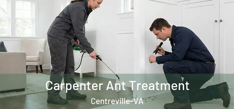 Carpenter Ant Treatment Centreville-VA