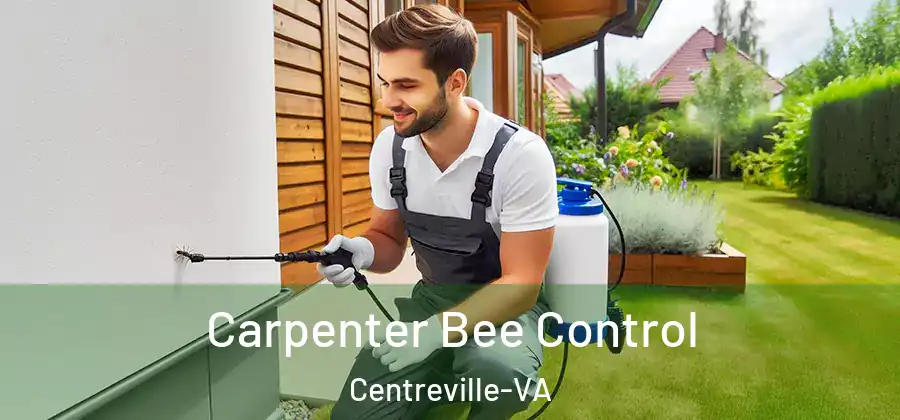  Carpenter Bee Control Centreville-VA