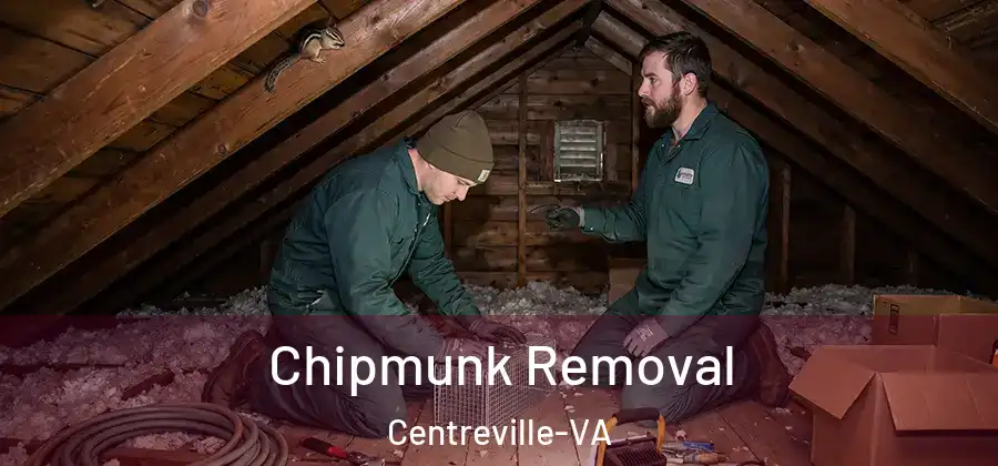 Chipmunk Removal Centreville-VA