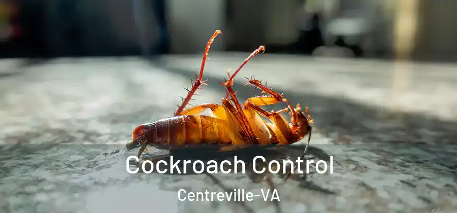  Cockroach Control Centreville-VA
