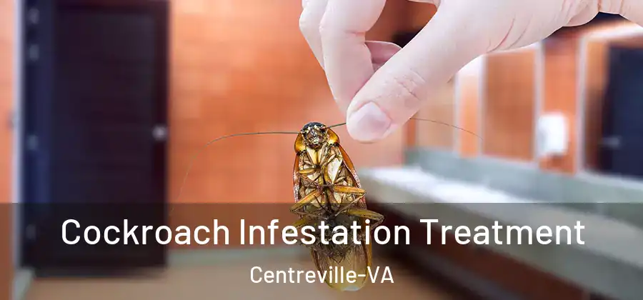 Cockroach Infestation Treatment Centreville-VA