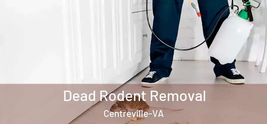  Dead Rodent Removal Centreville-VA