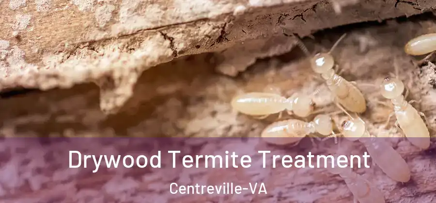 Drywood Termite Treatment Centreville-VA