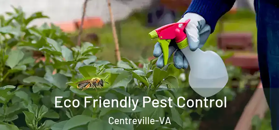  Eco Friendly Pest Control Centreville-VA