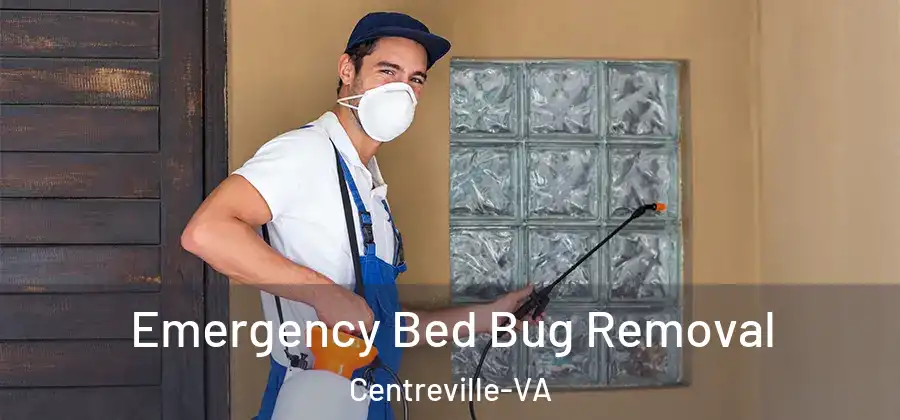  Emergency Bed Bug Removal Centreville-VA