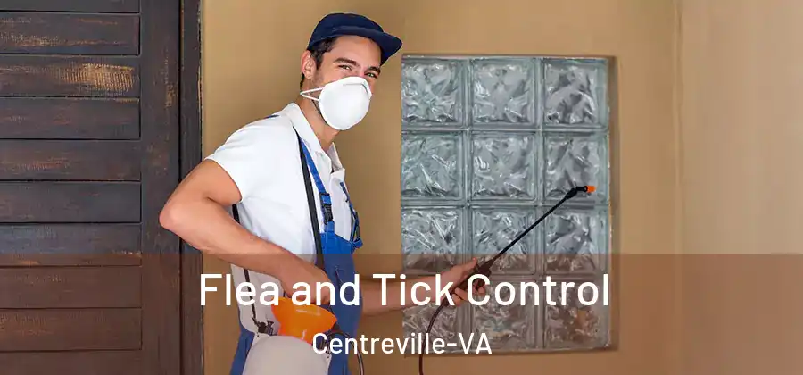  Flea and Tick Control Centreville-VA