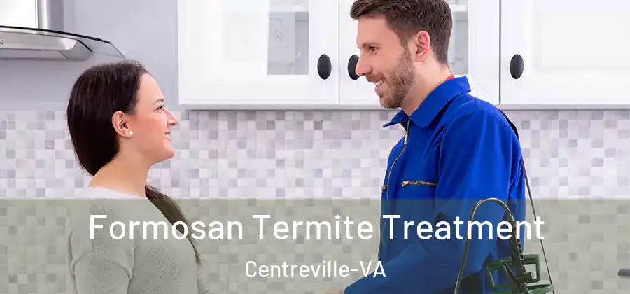  Formosan Termite Treatment Centreville-VA