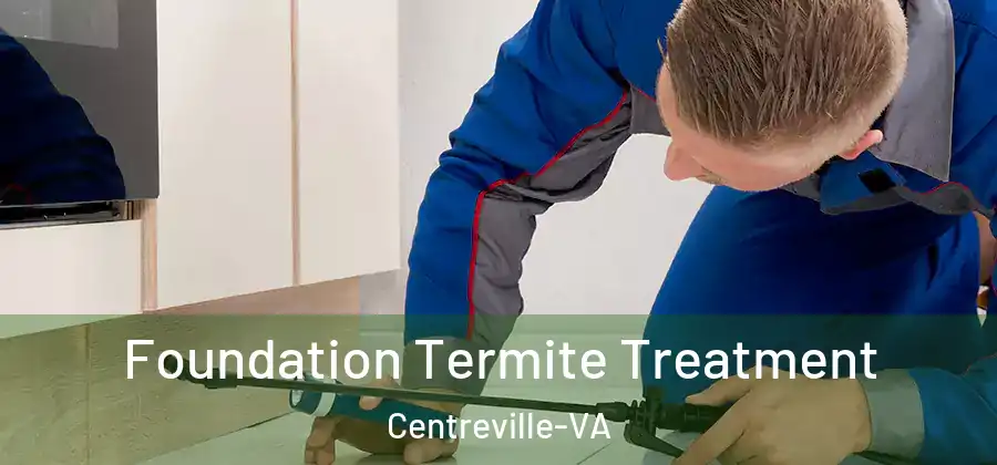  Foundation Termite Treatment Centreville-VA