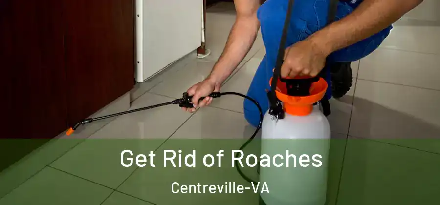  Get Rid of Roaches Centreville-VA