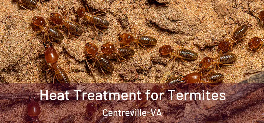  Heat Treatment for Termites Centreville-VA