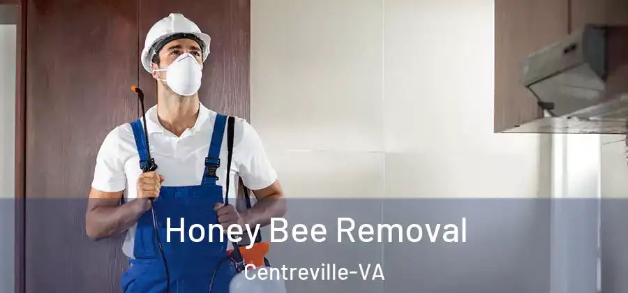  Honey Bee Removal Centreville-VA