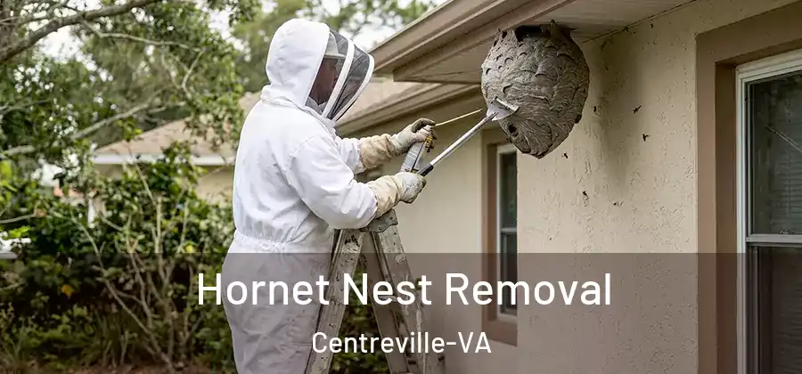  Hornet Nest Removal Centreville-VA