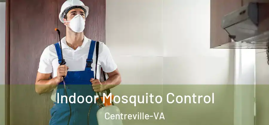  Indoor Mosquito Control Centreville-VA