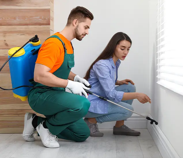 Trusted Affordable Bed Bug Treatment Experts in Centreville, VA