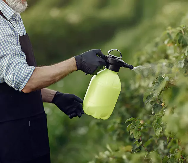 Your Proven Mosquito Treatment Company in Centreville, VA