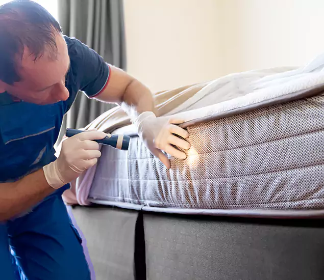 Trusted Bed Bug Cost Experts in Centreville, VA
