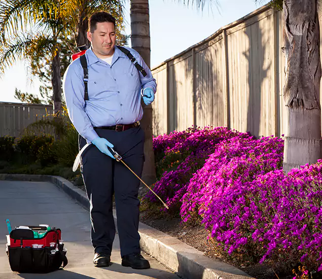 About Our Eco Safe Pest Control Experts in Centreville, VA