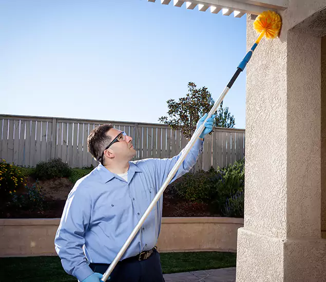Trusted Experts in Centreville VA for Formosan Termite Treatment and Black Termite Control