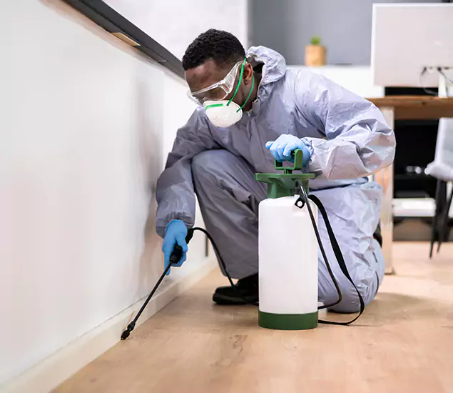 Leading Industrial Pest Control Experts Serving Centreville, VA